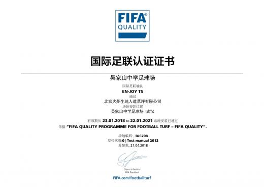 吳家山中學(xué)足球場