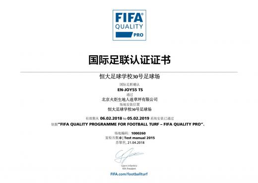 恒大足球?qū)W校30號足球場
